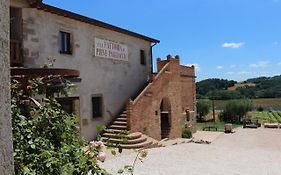 Fattoria di Pieve Pagliaccia